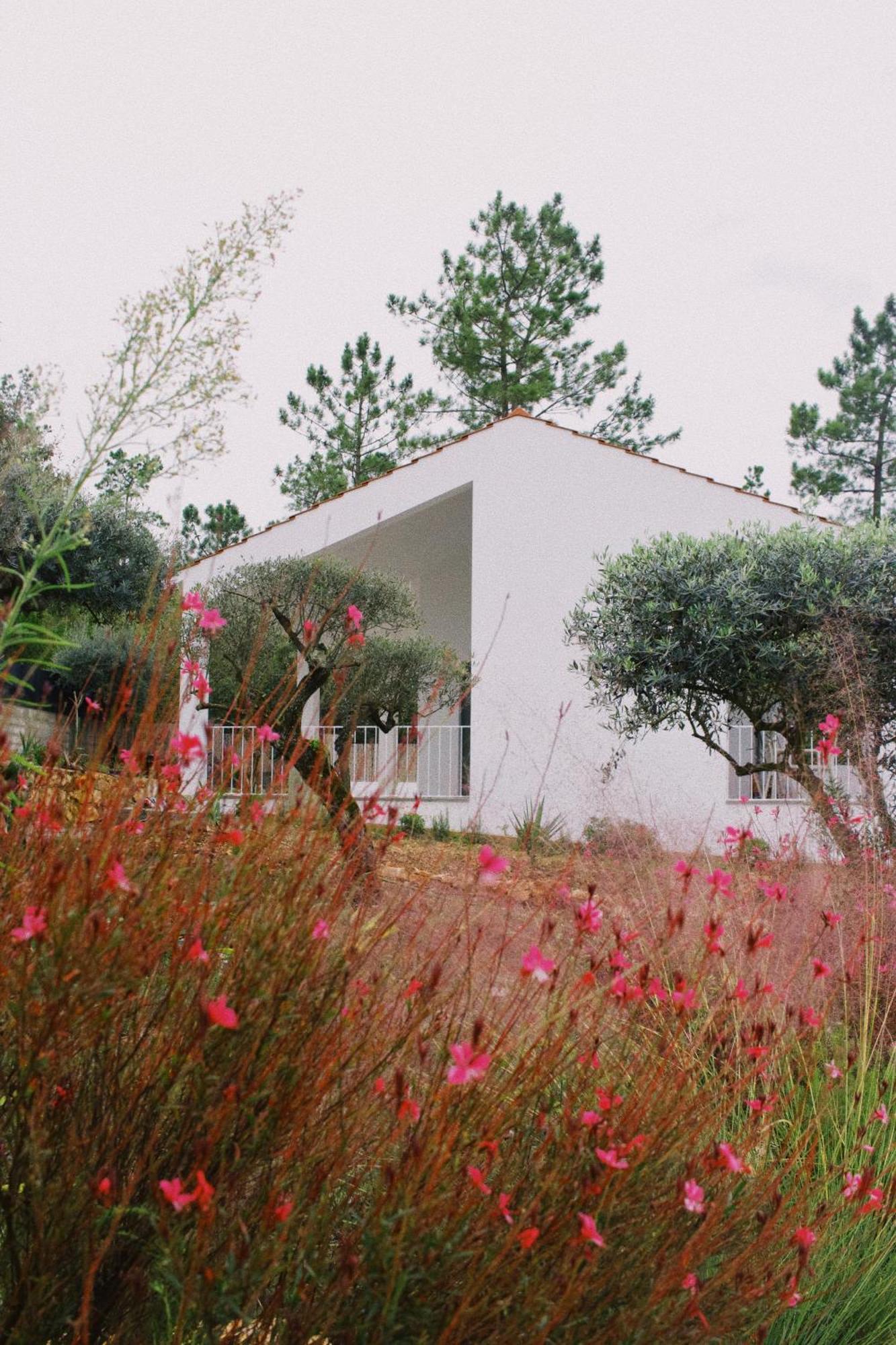 Casa Oliva - Casa Da Serra Porto de Mós Exterior foto